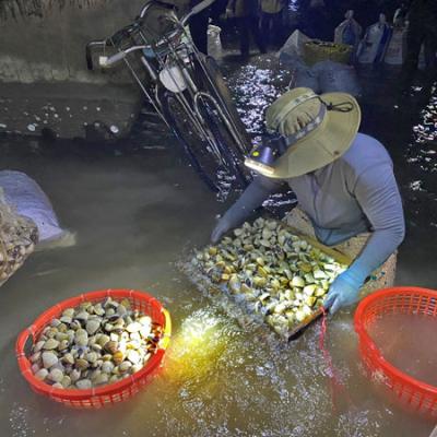 ĐI VỀ PHÍA BIỂN