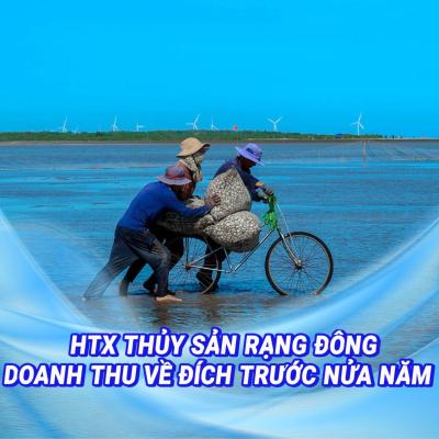 HỢP TÁC XÃ THỦY SẢN RẠNG ĐÔNG DOANH THU VỀ ĐÍCH TRƯỚC NỬA NĂM - TIẾP THÊM SINH KẾ CHO THÀNH VIÊN HỢP TÁC XÃ